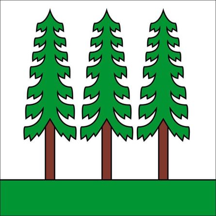 Wald ZH flag